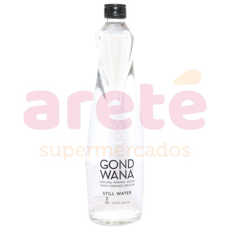 AGUA MINERAL CON GAS SELTZ 500ML . Supermercados Stock