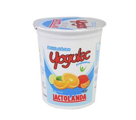 BEBIDA LACTEA YOGULAC CITRUS POTE DE 350GR.