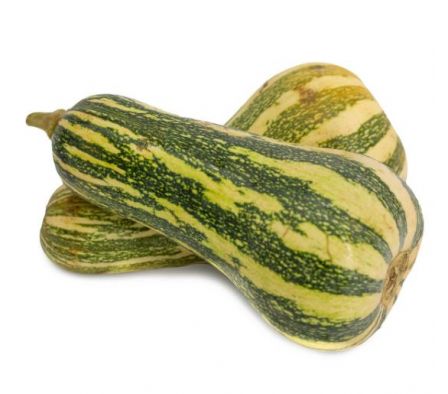 CALABACITA X KL.