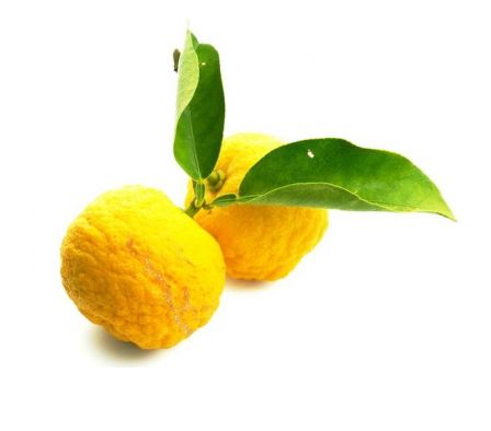 LIMON JAPONES X KILO