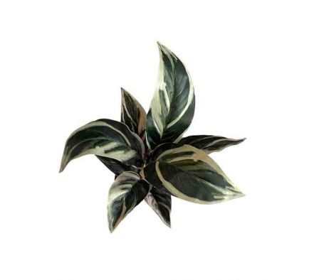 FLOR ARTIFICIAL C/PLANTERA 28CM REF 002-5